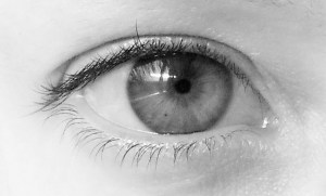 VLUU L100, M100 / Samsung L100, M100