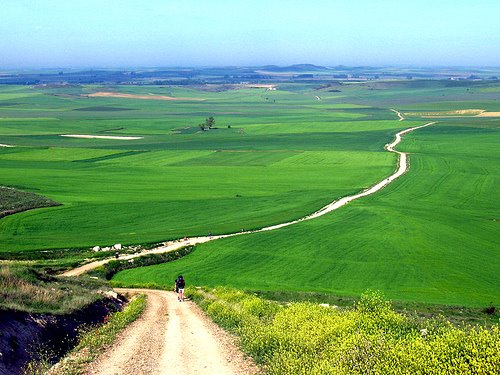 189315690_d157735f84