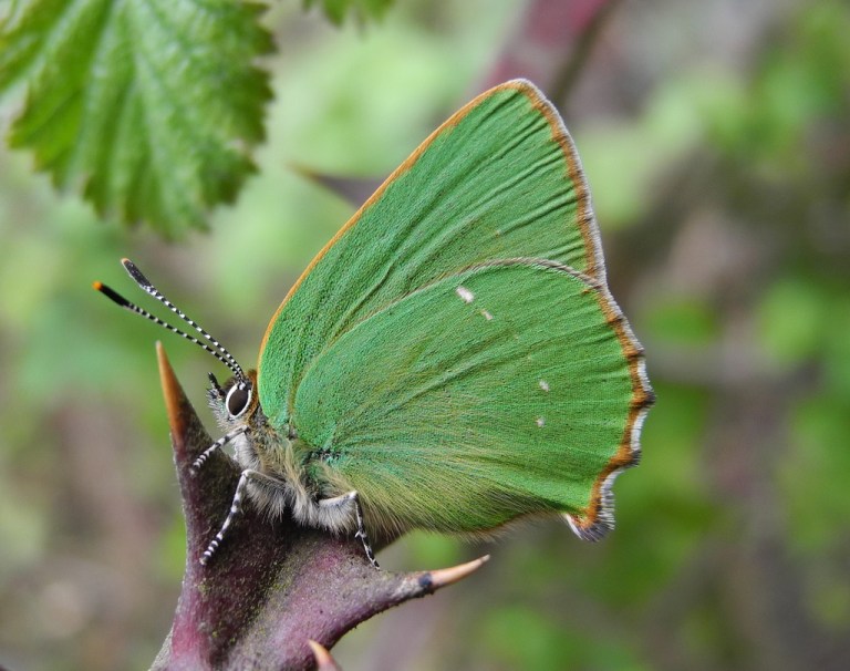 8747751446_2244a97577_b