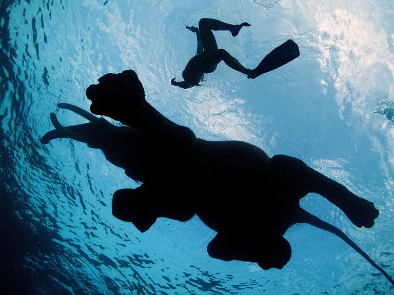 tumblr_n0fynoiuot1rm4xg4o1_1280