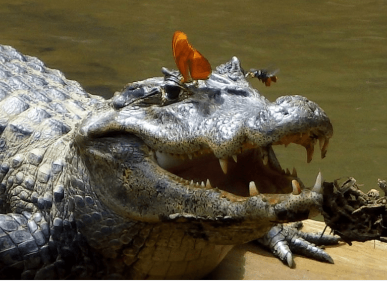 Screenshot_20180615-221806