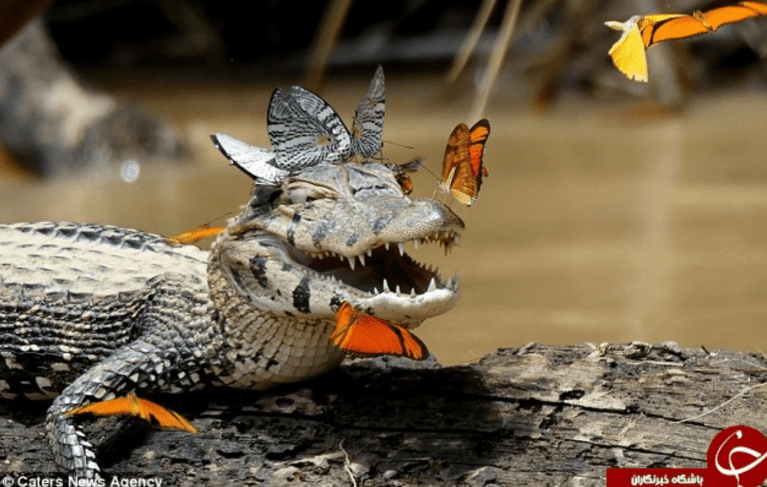 Screenshot_20180615-221934