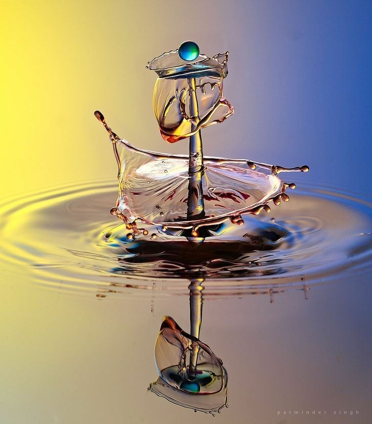 88239fdd01c4f9592389bd0487d84d40