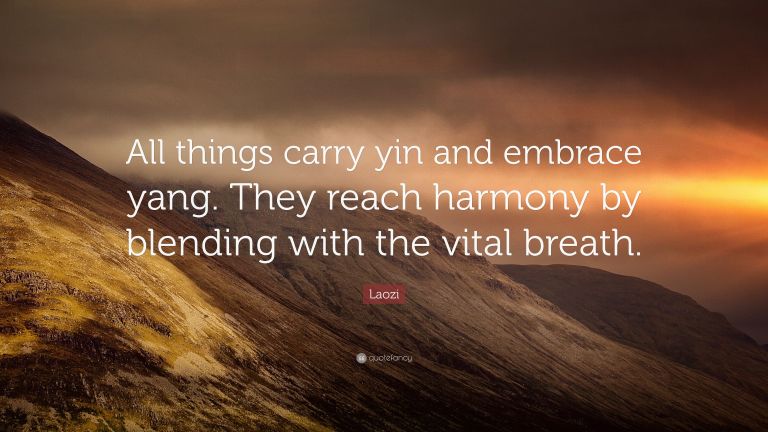 5162867-Laozi-Quote-All-things-carry-yin-and-embrace-yang-They-reach