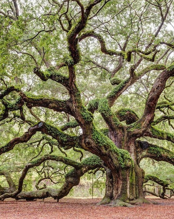 dd2cb7d69b70686c719f8b218a5c7b92