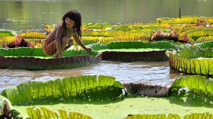 fe832ad3b904428966456699fd344ab3